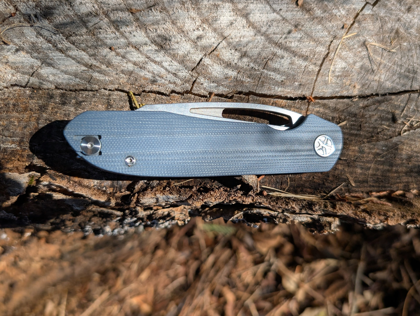 Tempest Pinion Blue G10